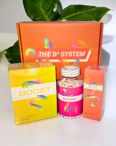 B3 System